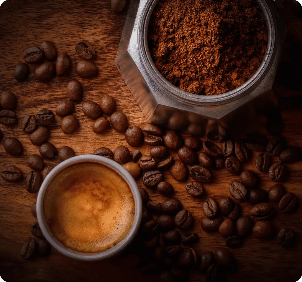 grano y semillas de café